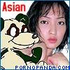 Porno-Panda
